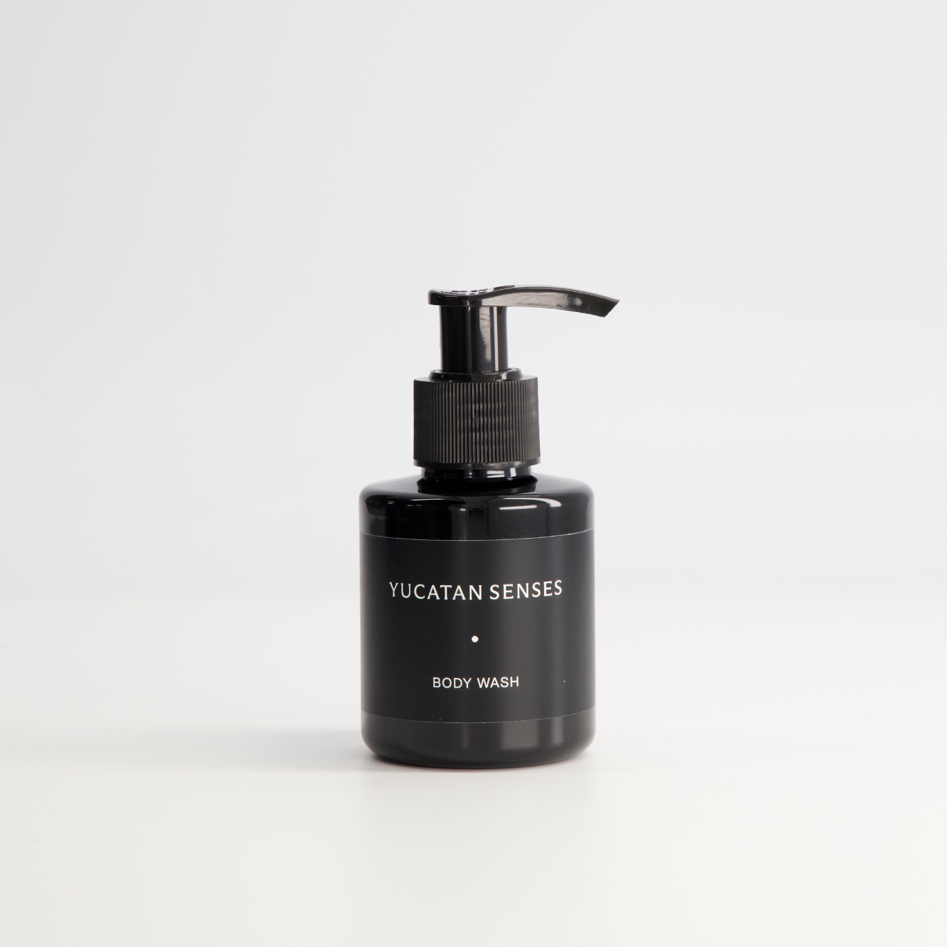 Body Wash / Travel Size