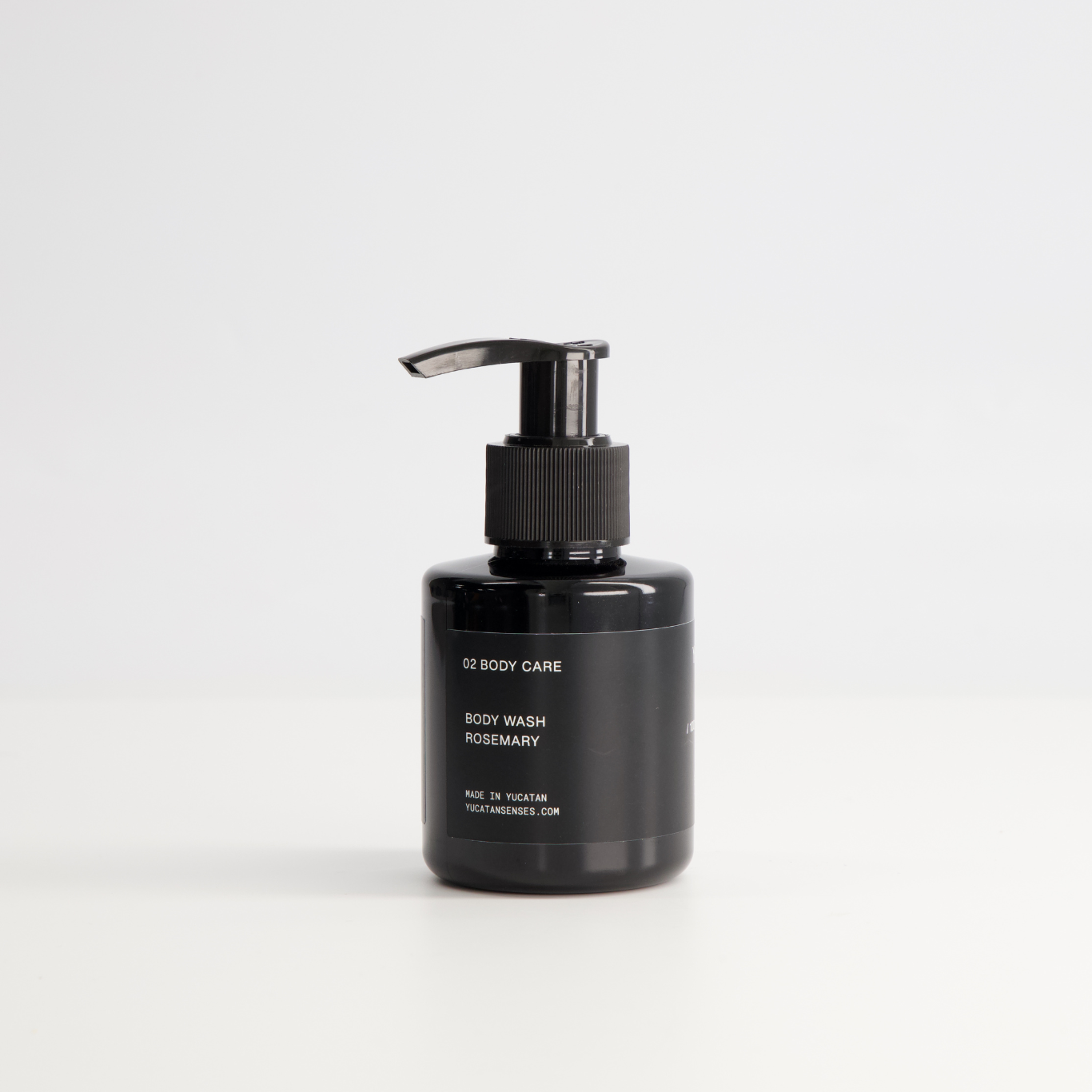 Body Wash / Travel Size