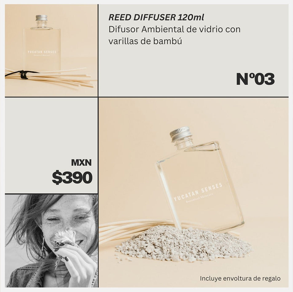 Reed Diffuser / Difusor Ambiental 120ml